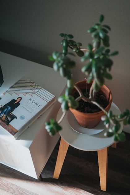 Intentional Living Made Easy